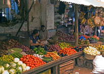 Authentic Zanzibar